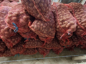 Cartofi samanta rosu prod proprie - imagine 3