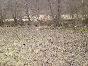 vand teren extravilan 