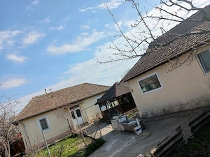  Casă mobilată Cetate Dolj | aproape Dunăre | foișor + anexe | gata de mutat  - imagine 3