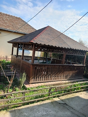  Casă mobilată Cetate Dolj | aproape Dunăre | foișor + anexe | gata de mutat  - imagine 2