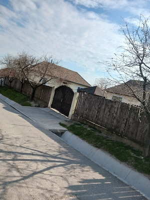  Casă mobilată Cetate Dolj | aproape Dunăre | foișor + anexe | gata de mutat 