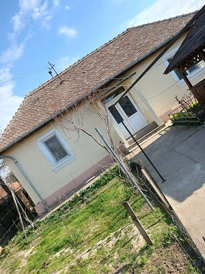  Casă mobilată Cetate Dolj | aproape Dunăre | foișor + anexe | gata de mutat  - imagine 7