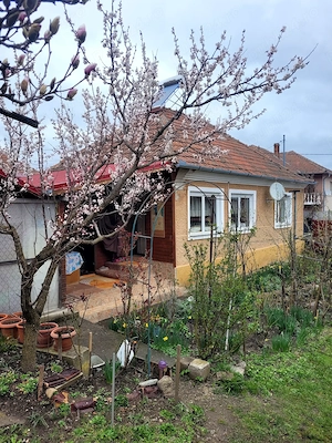 Vând casa cu gradina - imagine 2