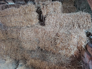 Vând baloți de paie 