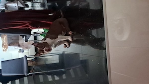 Vând Femelă American Bully Micro de 5 Luni !!