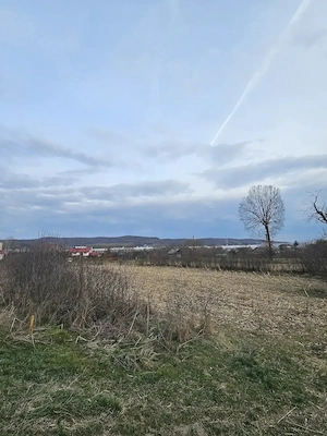 Teren de Vanzare in Curtea de Arges (2645 mp) Ideal Parcelare - imagine 2