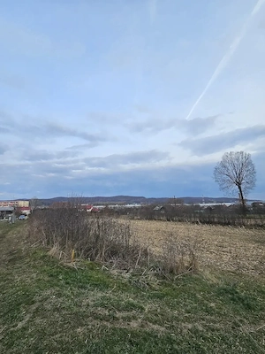 Teren de Vanzare in Curtea de Arges (2645 mp) Ideal Parcelare - imagine 3