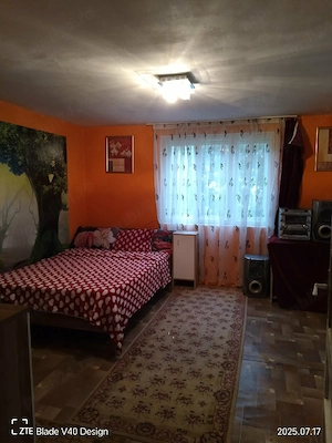 Casa si gradina de vânzare  - imagine 4