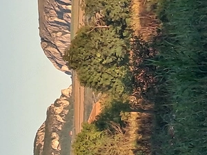 Vând Teren Intravilan Lux Unic 700 m2