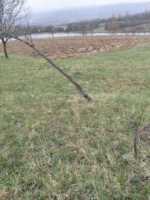 Vând teren intravilan - imagine 3