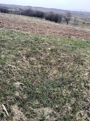 Vând teren intravilan - imagine 4