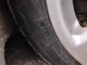 Anvelope iarna an 2025 195 65 r15 