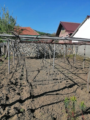 Teren 2200 mp intravilan + casă | 13 km Tg-Jiu | livadă  - imagine 4