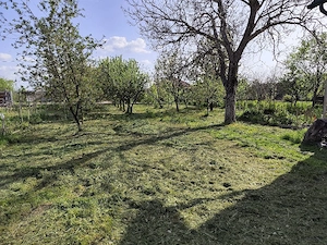 Tuns si ingrijit terenuri - imagine 2