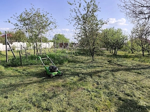 Tuns si ingrijit terenuri - imagine 4