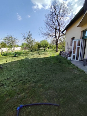 Tuns si ingrijit terenuri - imagine 5