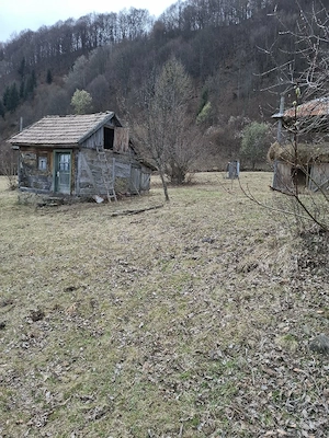 Vand teren in MARAMUREȘ Valea Viseului