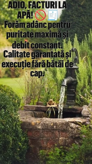 foraje puturi si denisipari