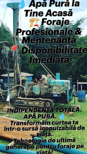 foraje puturi si denisipari - imagine 5