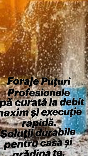 foraje puturi si denisipari