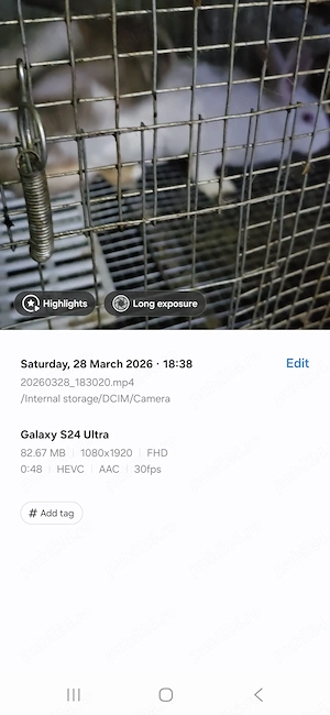 Femela hycole francez - imagine 2