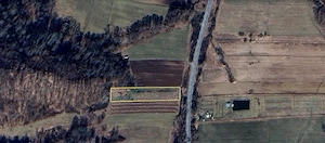 Teren agricol Ezeriș, 3000 mp, la șosea, cu pomi - imagine 2