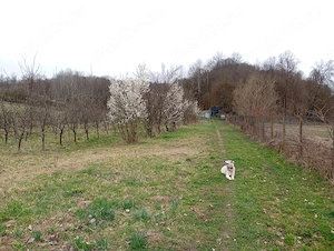 Teren agricol Ezeriș, 3000 mp, la șosea, cu pomi - imagine 9