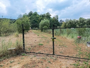 Teren agricol Ezeriș, 3000 mp, la șosea, cu pomi - imagine 4