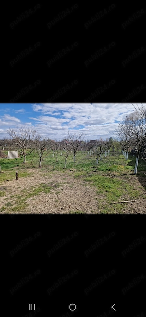 De vanzare proprietate in Com Madaras sat Ianosda