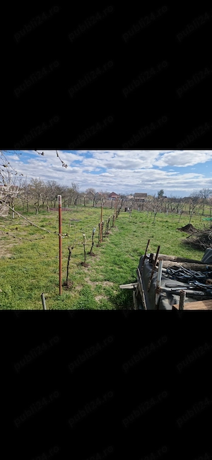 De vanzare proprietate in Com Madaras sat Ianosda - imagine 4