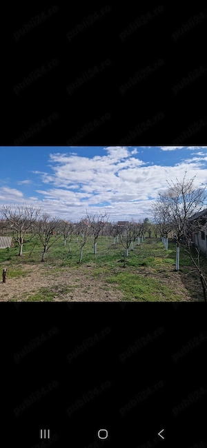 De vanzare proprietate in Com Madaras sat Ianosda - imagine 5