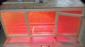 Vand incubator si maternitate ptr pui - imagine 2