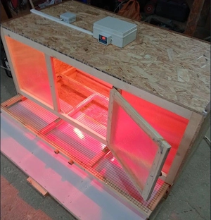 Vand incubator si maternitate ptr pui - imagine 3