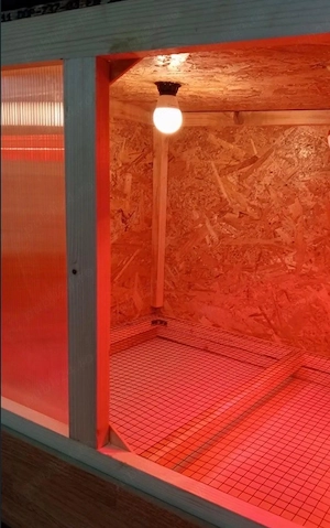 Vand incubator si maternitate ptr pui - imagine 4