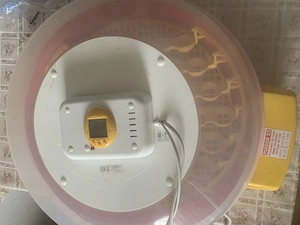 Vand incubator si maternitate ptr pui - imagine 5