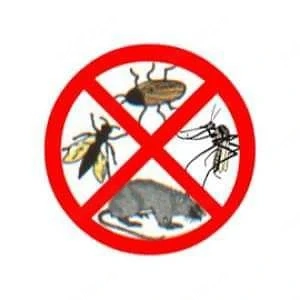 Deratizare, Dezinfecție, Dezinsecție(D.D.D)