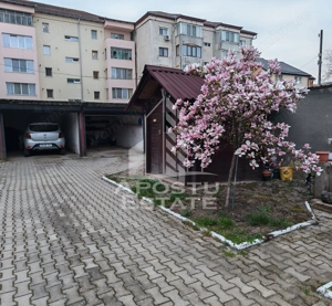 Casa individuala de vanzare, cu 4 camere si 2 garaje, zona Lipovei - imagine 4