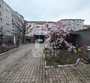 Casa individuala de vanzare, cu 4 camere si 2 garaje, zona Lipovei - imagine 8