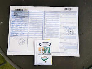 Scuter Benelli 49 cmc-Înmatriculat cu carte rar-Itp nou - imagine 3