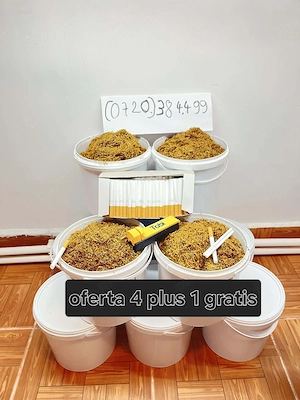 Calitate superioară Belgia si Olanda 