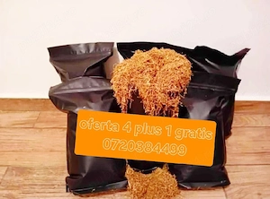 Belgia si olanda avem oferte 