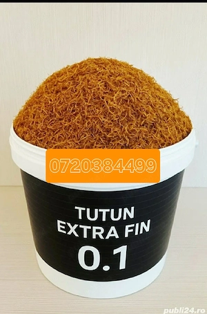 Calitate superioară avem oferte