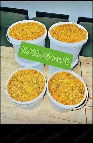 Calitate superioară Belgia si Olanda și Turcia 