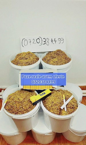 Calitate superioară Belgia si Olanda 