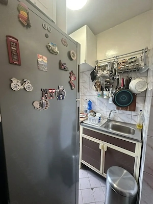 Agentia imobiliara VIGAFON vinde garsoniera Malu Rosu - imagine 4