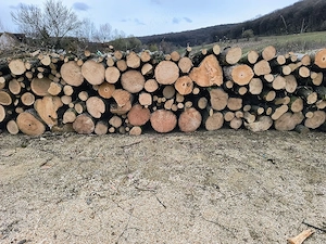 Vand lemne de foc esenta tare transport la domiciliu  - imagine 3