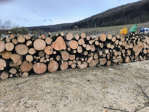 Vand lemne de foc esenta tare transport la domiciliu  - imagine 2