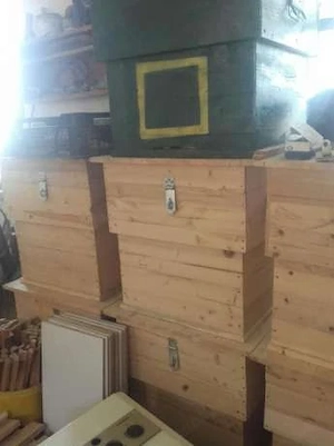 Vand fam albine cu lazi sau fara