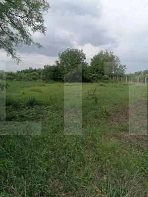 Casă bătrânească de vânzare – Brăești, județul Botoșani - imagine 2