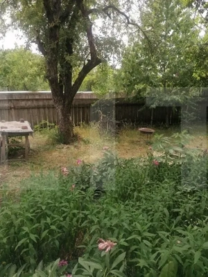 Casă bătrânească de vânzare – Brăești, județul Botoșani - imagine 3